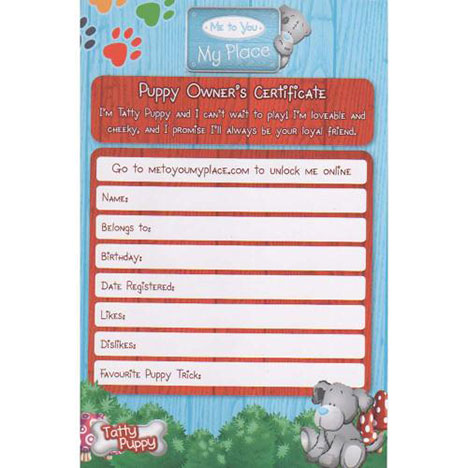 10" Join In And Play Interactive Me to You Bear Tatty Puppy Extra Image 2